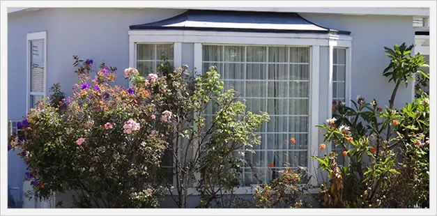 Bay Window