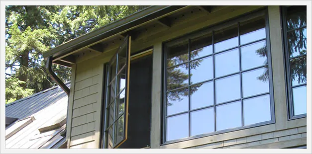 Home Window